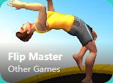 Flip Master