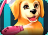 Become a Puppy Groomer